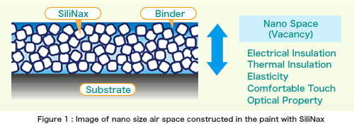 Figure1:Image of nano size air space constructed in the paint with SiliNax.