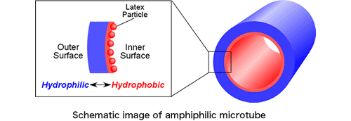 Figure:Schematic image of amphiphilic microtube